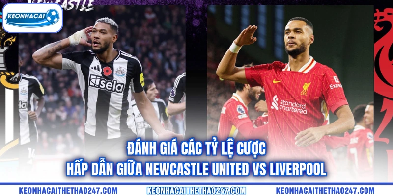 Đánh giá các tỷ lệ cược hấp dẫn giữa Newcastle United vs Liverpool